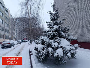 «Потеплеет до -6»: брянцам сообщили о погоде на 20 января