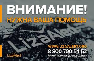 «ЛизаАлерт» просит брянцев помочь в поисках пропавших детей