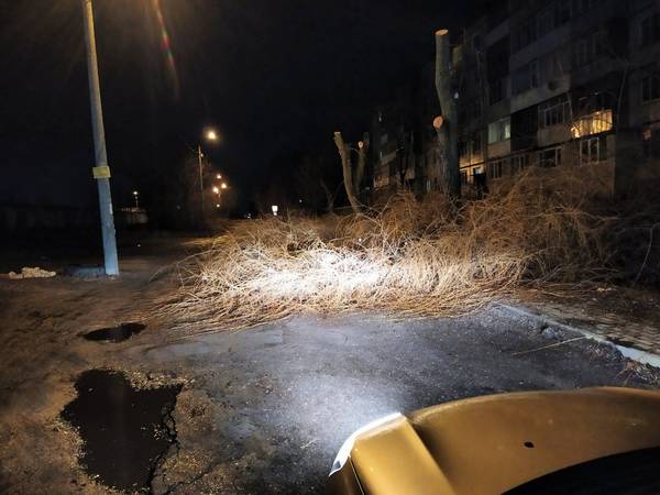 Дорогу возле 66 школы в Брянске перегородили ветками