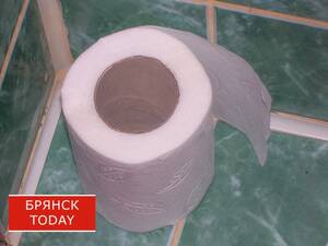 В Брянской области заработает новый ГОСТ на туалетную бумагу