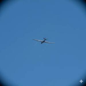 При атаке украинских FPV-дронов на брянское село пострадала женщина