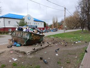В Бежице центр улицы превратили в мусорную свалку