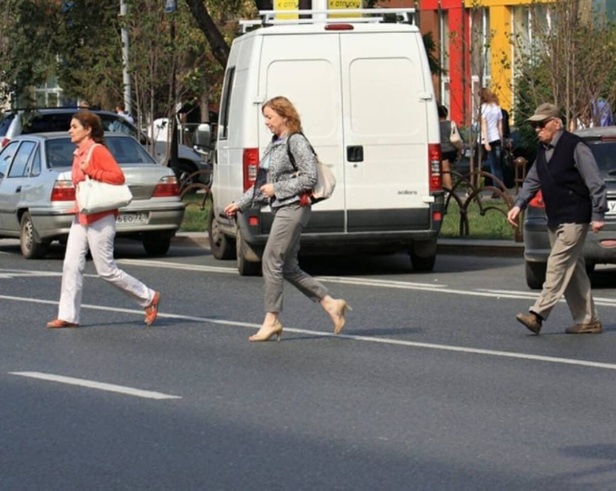 В Брянске сотрудники ДПС составили протоколы на 80 пешеходов-нарушителей |  26.09.2023 | Брянск - БезФормата