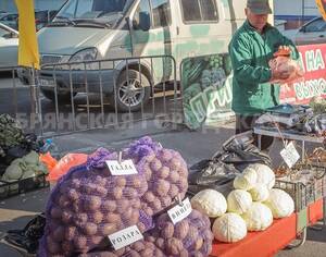 Брянские производители приняли участие в продуктовой ярмарке