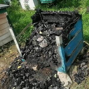 В Рогнедино женщина подожгла пасеку, опасаясь за свою семью