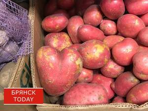 Ярмарка выходного дня вновь развернется в Брянске