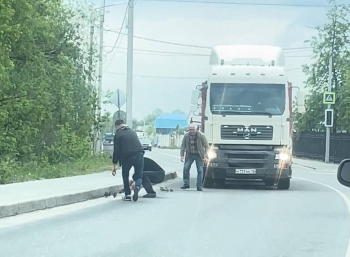 В Брянске водители спасли выбежавших на дорогу утят