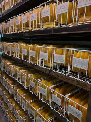 Брянские доноры продолжают помогать