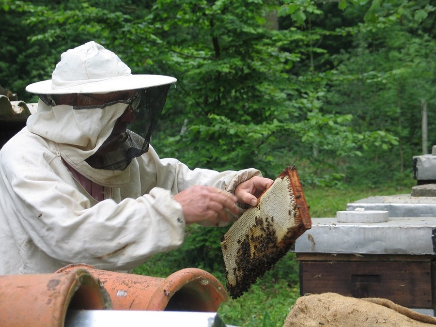 Пчеловоды Брянщины открыли сезон с месячным опозданием