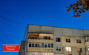 В Минобороны уточнили данные о трёх сбитых дронах на Брянщине