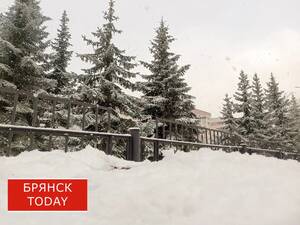 Брянские студенты вышли на борьбу со снегом