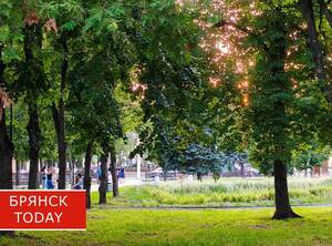 Брянцев предупредили о необычном бабьем лете