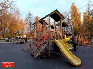 В Брянской области потребовали 10,3 млн за поддельную детскую площадку