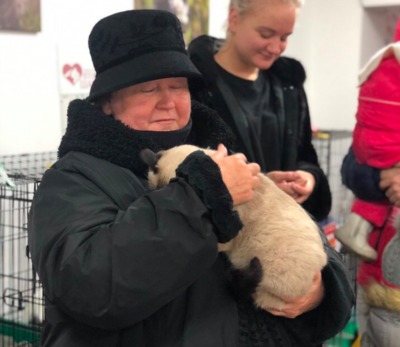В Брянске 11 бездомным кошкам нашли новых хозяев