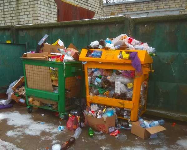 Брянцы после Нового года разучились разделять мусор