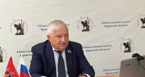  В брянском штабе Общественного наблюдения рассказали о работе наблюдателей на выборах