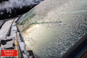 Стало известно, чем удивит брянцев погода 17 января