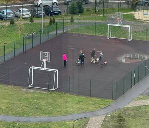 В Брянске спортплощадку в сквере УМВД оккупировали собачники