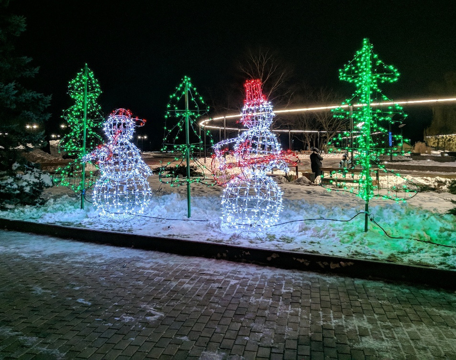 В Брянске на Набережной засветились музыкальные снеговики
