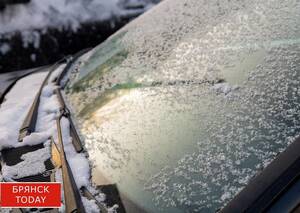 Брянцев предупредили о возможном возвращении зимы