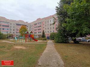 Директора «Жилспецсервис» оштрафовали за небезопасную детскую площадку в Брянске