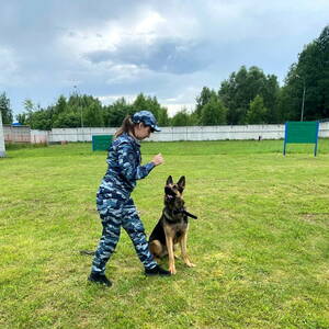 Брянская полиция судится с поставщиком токсичного корма для служебных собак