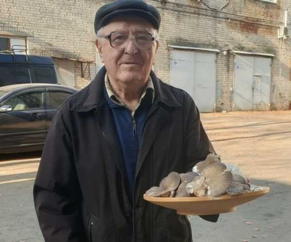 Пенсионер нашел в центре Брянска уникальные грибы