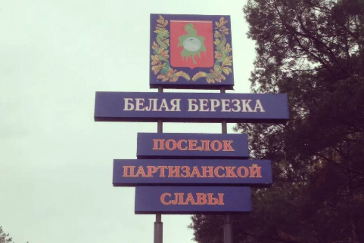 Карта пос белая березка