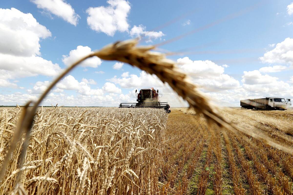 Ввоз украинского зерна на территорию Евросоюза ограничат со 2 мая