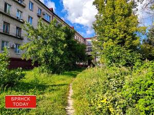 Брянцам рассказали, сколько времени продлится летняя погода