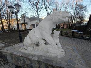 Львица из центра Брянска ждёт рукастого «ветеринара»