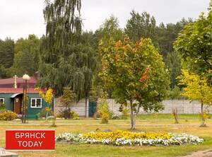 Новый блокирующий процесс изменит погоду в Брянской области