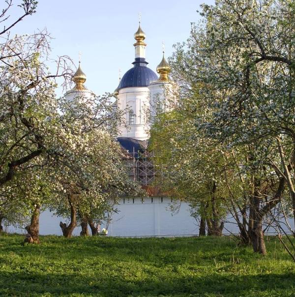 Фото свенского монастыря брянск