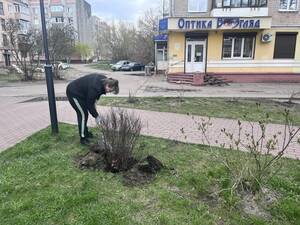 В Брянске на пятничнике в сквере «Покорителям космоса» появились 35 новых кустов спиреи