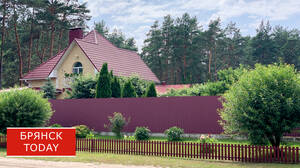 Брянским дачникам запретят зарабатывать на своих участках