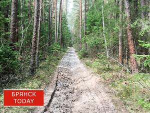 Жители Дятьково наконец-то получили доступ к озеру Пильненское