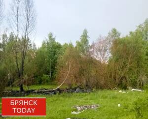 Под Брянском ввели в оборот 33,6 гектара неиспользуемых земель