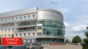 Брянская таможня стала принимать жалобы в электронном виде