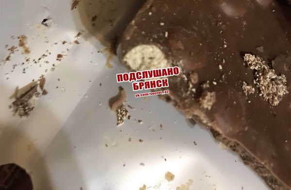 Жителей Брянска шокировала шоколадка с личинками