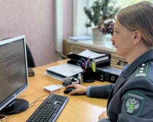 В Брянской области нашли 129 сайтов с контрабандой ветпрепаратов