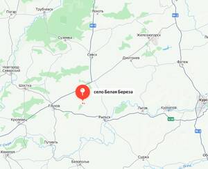 Минобороны: армия России установила контроль над селом возле брянской границы