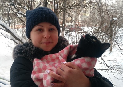 В Брянске расстрелянному из пневматики коту нашли хозяйку