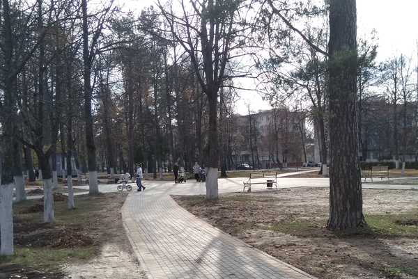 В Жуковке появился сквер с «деревом молодожёнов»