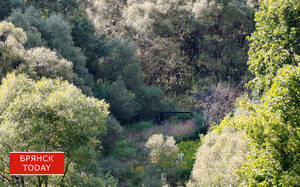 Мэр Макаров рассказал о плане благоустройства Судков