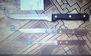 Жительница Брянска съездила на дачу с супругом и получила судимость