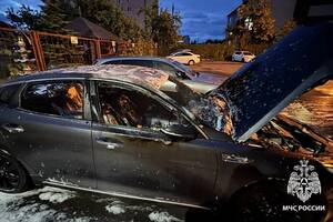 В Брянской области за ночь сгорели два автомобиля