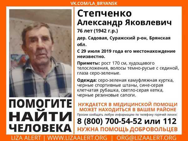 В Брянской области нашли пропавшего 76-летнего Александра Степченко
