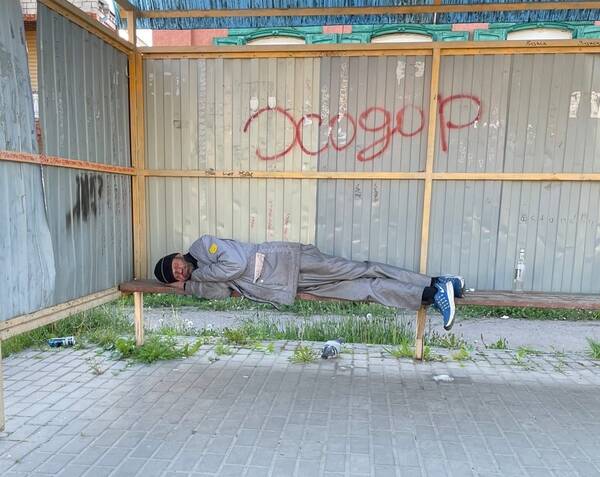 В Новозыбкове ищут хозяйку сладко спящего потеряшки