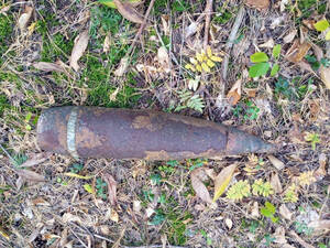 Саперы предотвратили взрыв в Жуковском районе