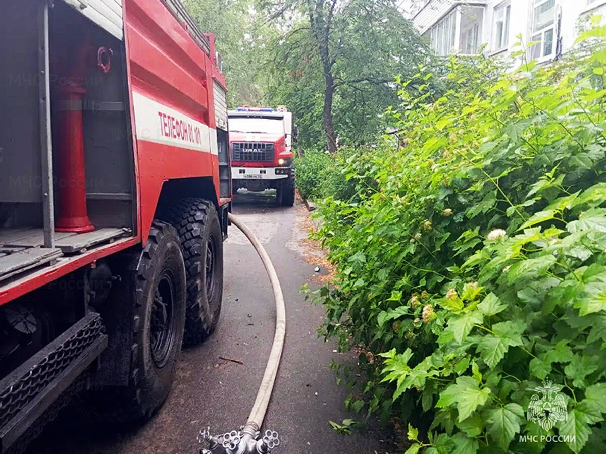 В утреннем пожаре в брянском Сельцо погибла женщина